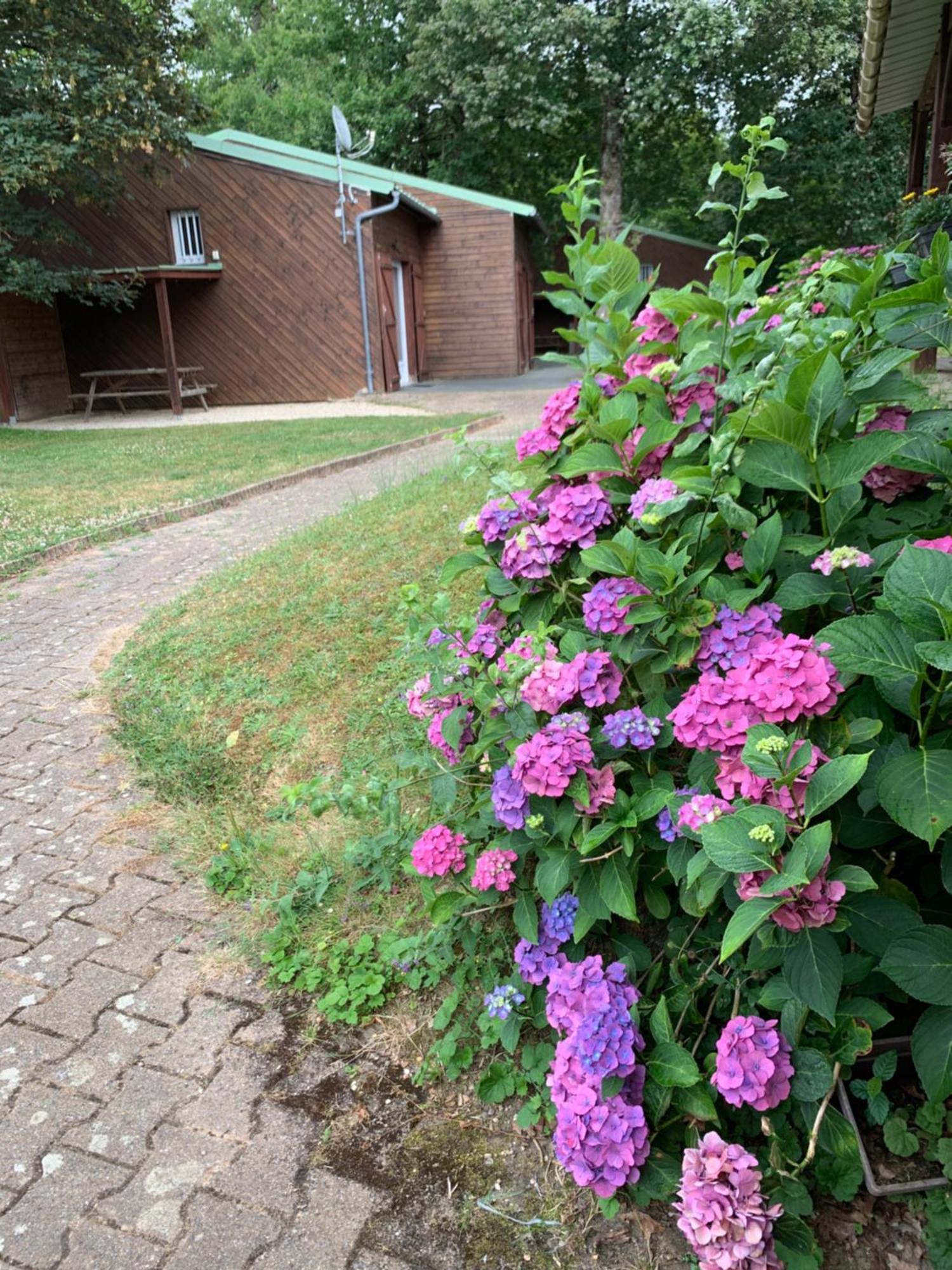 Chalets Moulière Evasion Montamisé Esterno foto