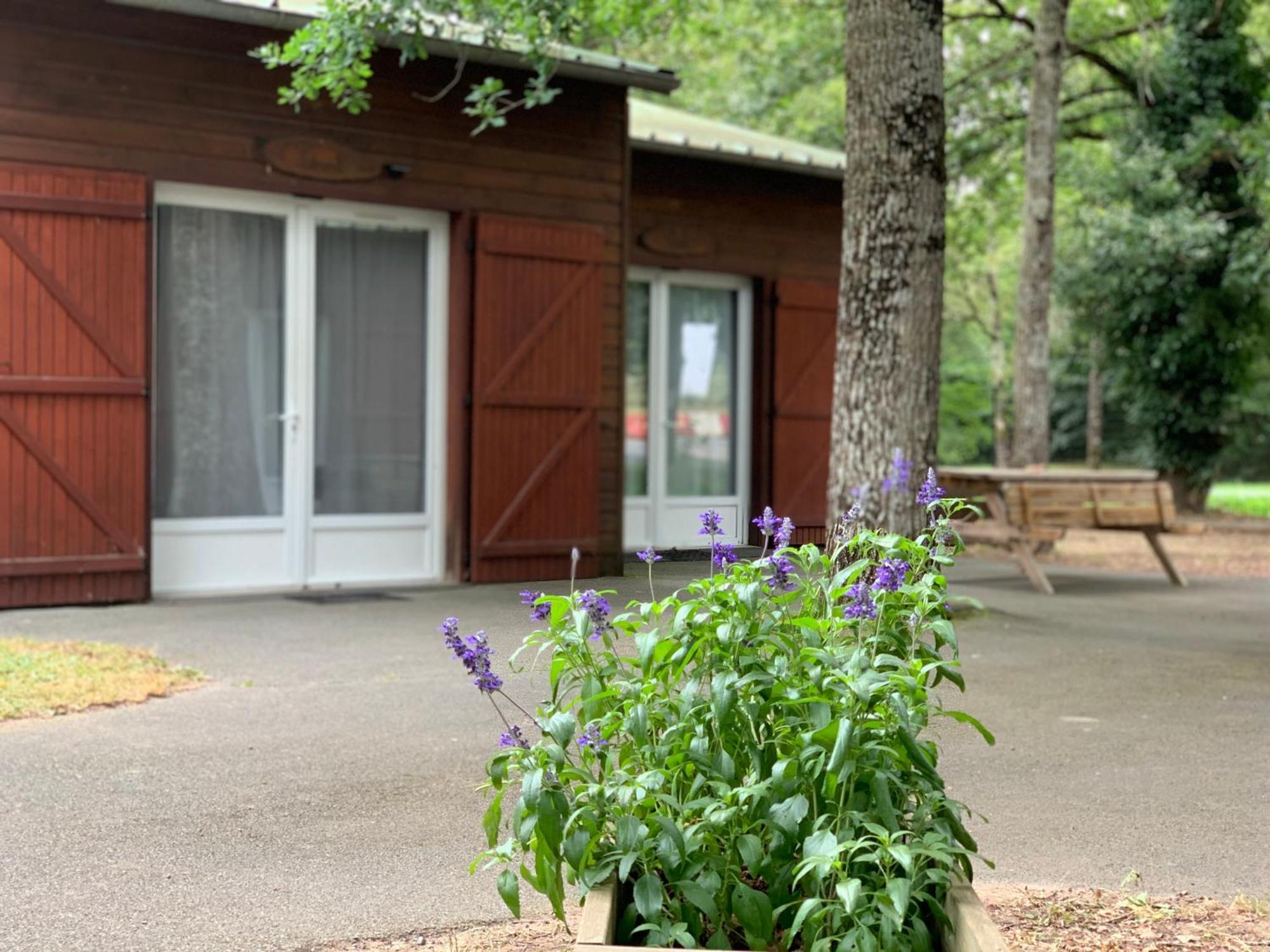 Chalets Moulière Evasion Montamisé Esterno foto